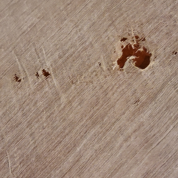 2 Silk Grey Scarfs - Picture 12 of 12